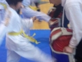 IMG-3cb132df2605edddd610c75e497e90a7-V