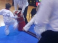 IMG-58fb6081e192368e0754bb0997d9030d-V