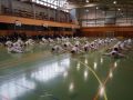 DSC05275