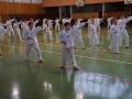 DSC05281
