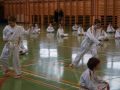 DSC05305