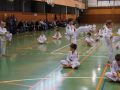 DSC05315