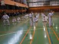 DSC05317